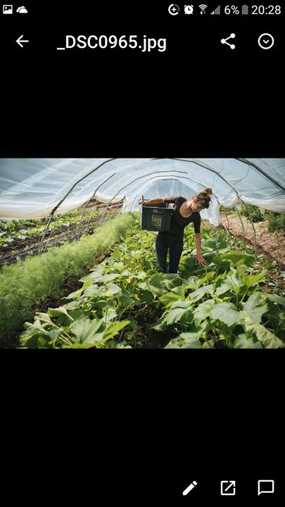 Marché Public Du Vieux-Port - Les Jeudis