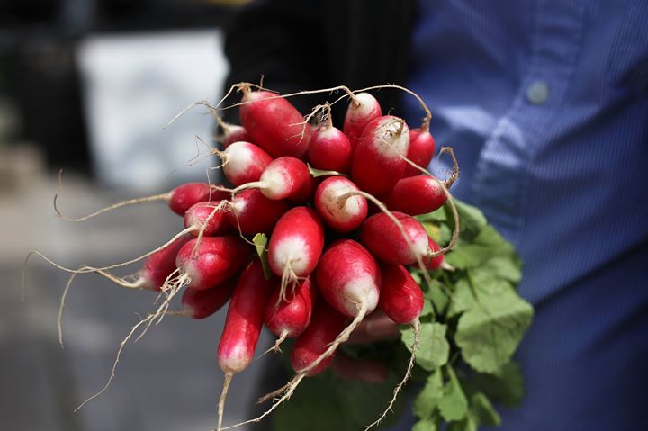Marché public du Vieux Port - les samedis