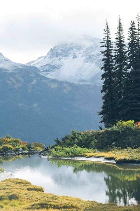 Marche et méditation avec Chloé Robertson