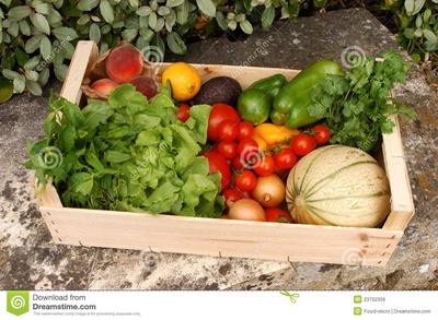 Marché fermier / Farmer’s Market