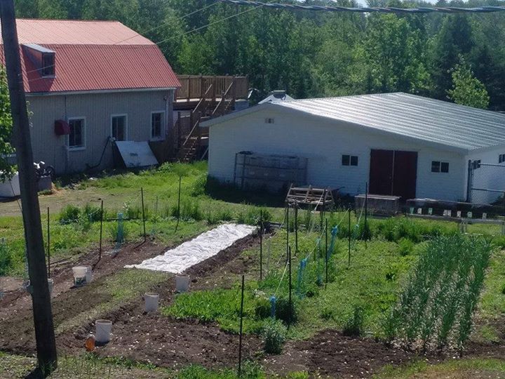 Marchés d’été de la Ferme Futura / Summer Markets- Futura Farm