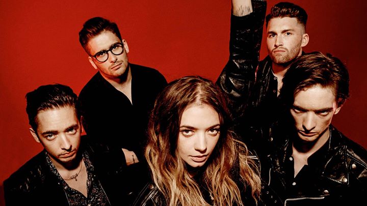 Marmozets / Montréal