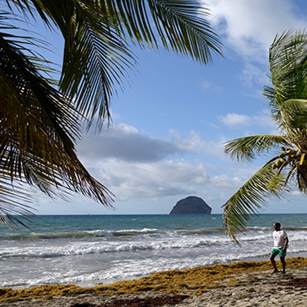 Martinique et Gualoupe - Les Grands Explorateurs