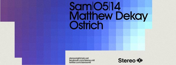 Matthew Dekay - Ostrich