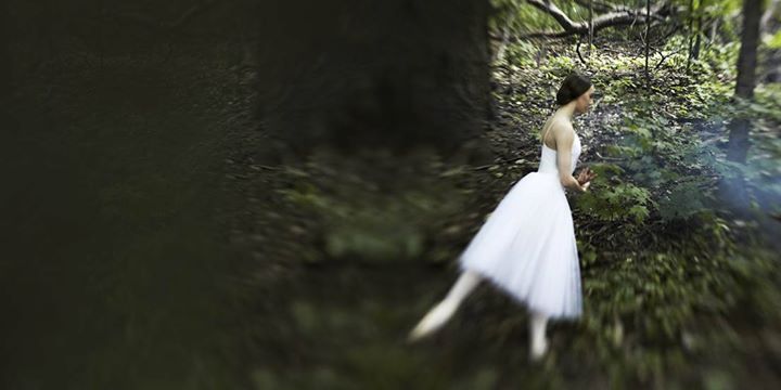 Merci Montréal! Révérence aux bâtisseurs de Montréal