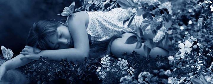 Mes rêves, mon miroir