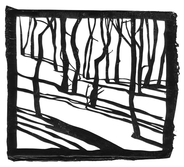 Michel Hellman – PLAN NORD - Du 15 octobre au 27 novembre 2016