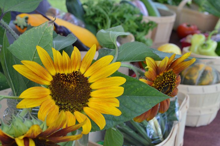 Mini-marché des Jardins Skawanoti