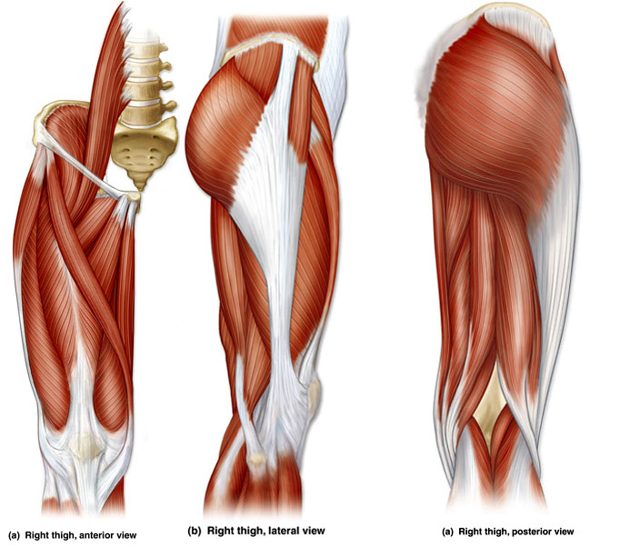 Mobility Clinic Series: Restore Your Hips