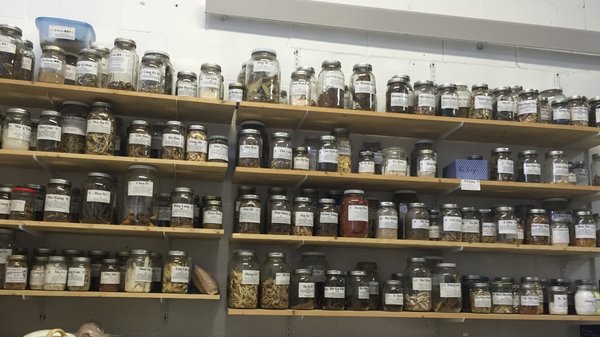 Montreal Gongfu Research Center