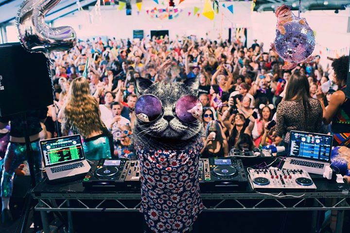 Morning Gloryville #6 ~ 'Kittyween' FUN-raiser for Chatopia Cat Rescue