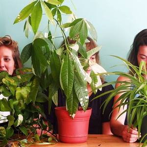 Moss Lime, Baked Goods, Blanka, and Sam Shalabi at Unknown venue (May 1, 2015)