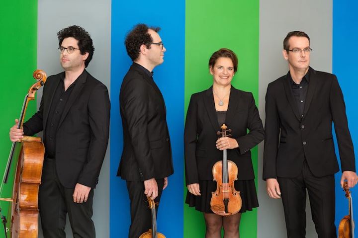 Musique à voir - Quatuor Molinari