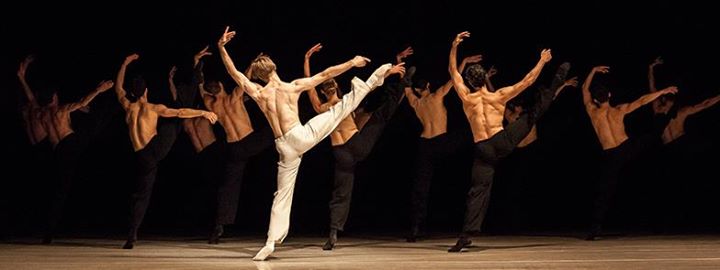 NEDERLANDS DANS THEATER