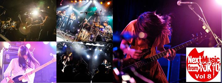 Next Music from Tokyo vol 8 (Divan Orange)