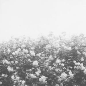 Nighttime at Cabaret Playhouse (June 4, 2015)