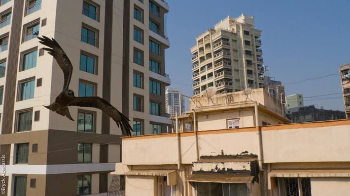 Noisindia# le mercredi 9 septembre au Bain Mathieu