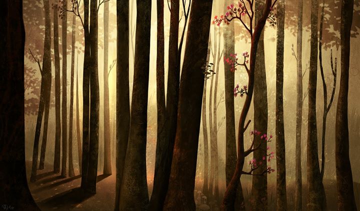 Nouvelle soirée Conte sur nous!