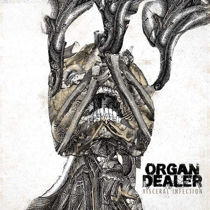 Organ Dealer