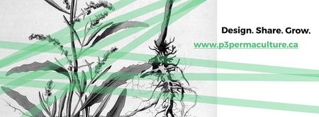 Permaculture 101: An Intro to Perma Philosophy and Design