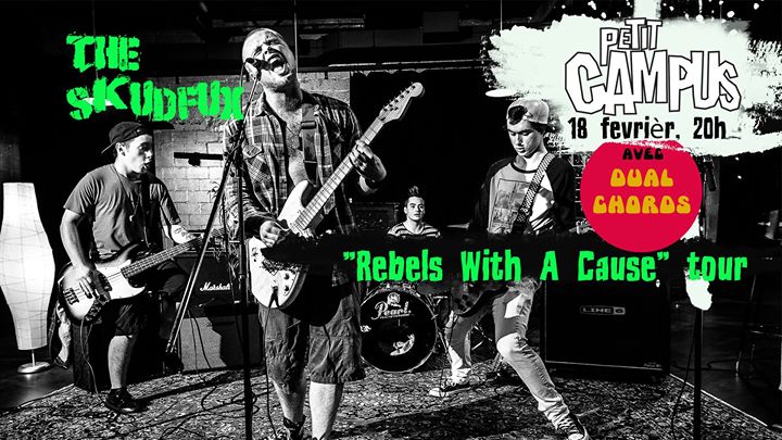 Petit Campus - Montréal