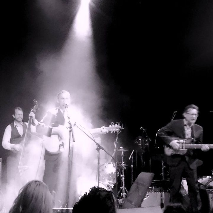 Petunia & The Vipers