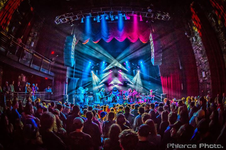 Pigeons Playing Ping Pong