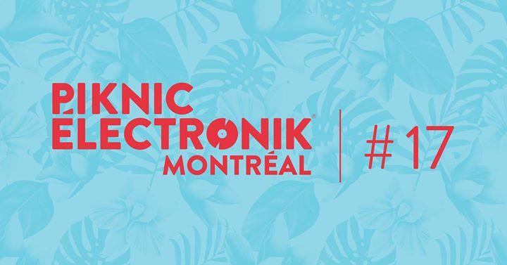 Piknic Électronik MTL #17: The Black Madonna