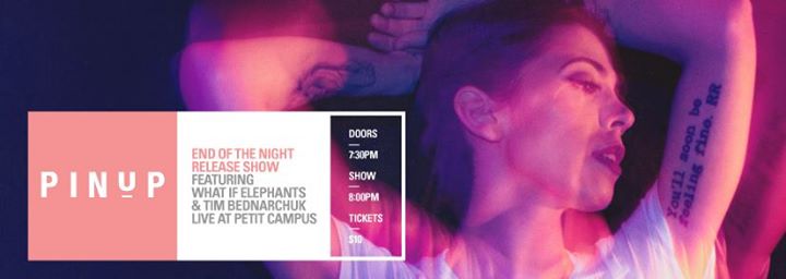 Pin Up: 'End of the Night' Release show w/ What If Elephants & Tim Bednarchuk 