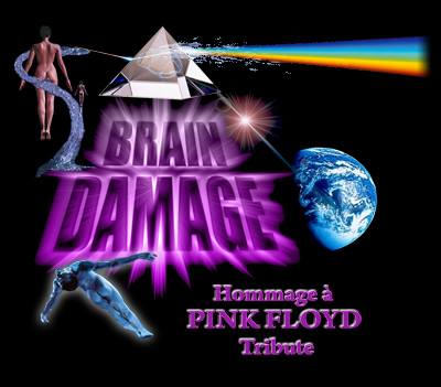 Pink Floyd Tribute - Brain Damage