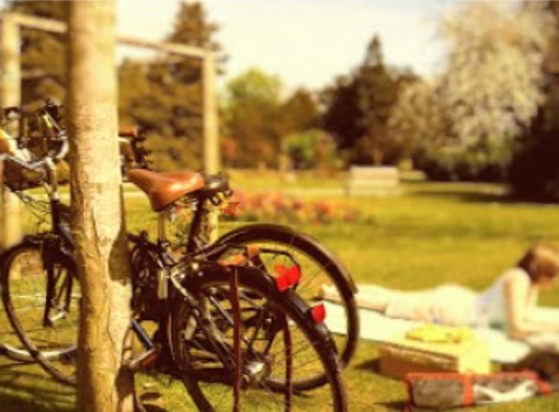 Pique-nique pour Cyclothon / Picnic for Cyclothon