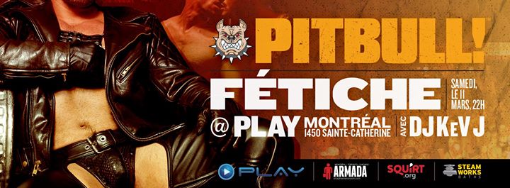 Pitbull Fétiche