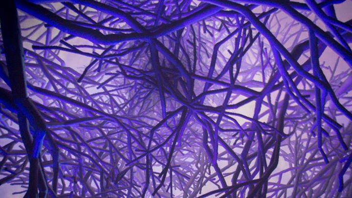 Plateaux + / is //// is //////