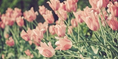 POP UP Fête des mères - Par HappyFitness