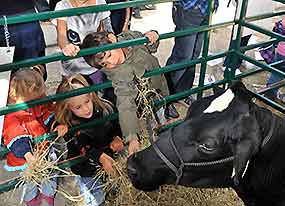 Portes ouvertes sur les fermes du Québec
