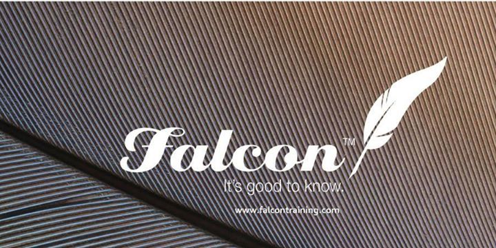 Project Management Techniques (PMTCHC2018-2)