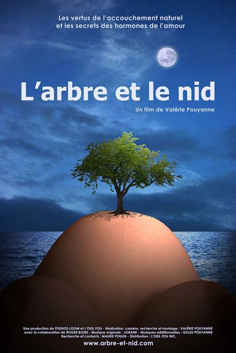 Projection/Discussion: L'arbre et le nid