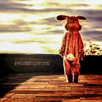 Projet Coyote au Quai des brumes