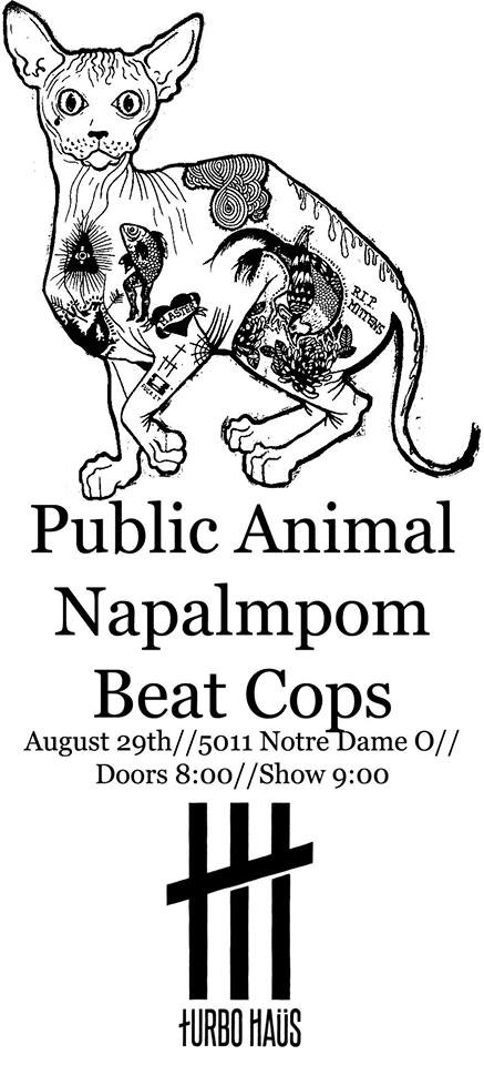 Public Animal & Napalmpom