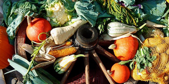 Quand le gaspillage alimentaire devient une opportunité d'affaires