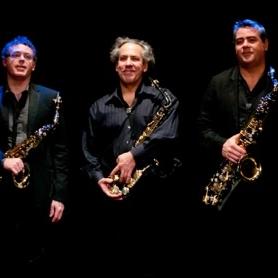 Quasar | Le cri des oiseaux fous