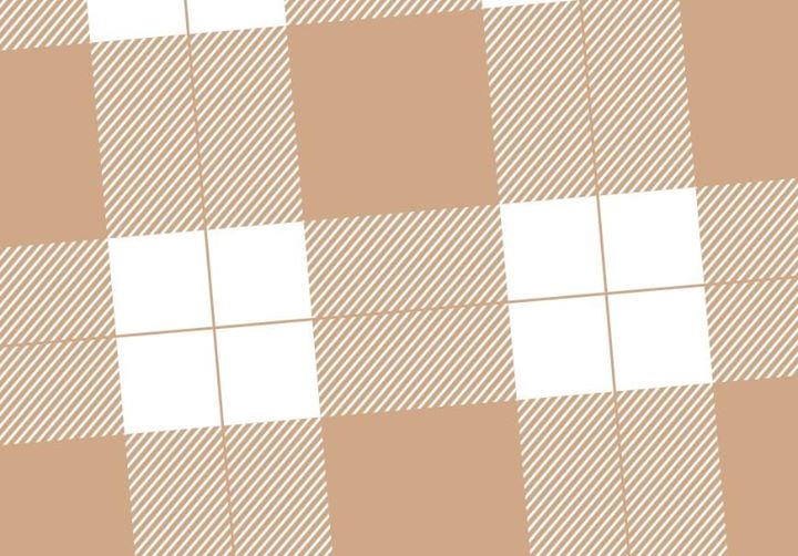 Quel patriotisme pour le Québec actuel? Discussion entre Jonathan Livernois et Gabriel Nadeau-Dubois