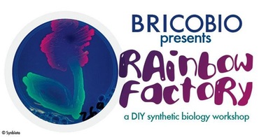 Rainbow Factory - DIY Synthetic Biology
