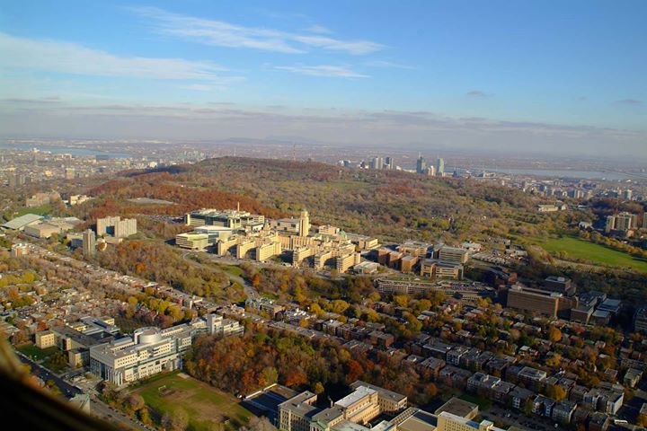 Randonnée découverte : Le sommet d'Outremont