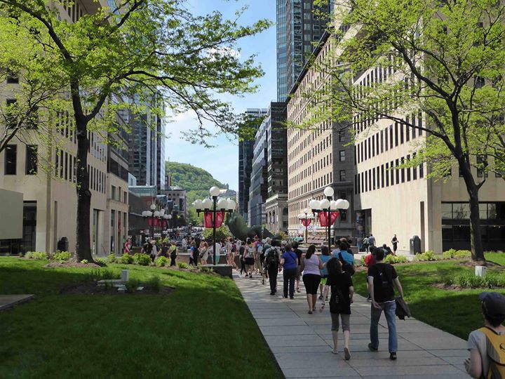 Randonnée / Discovery Walk - D'un Sommet à l'autre - Nature