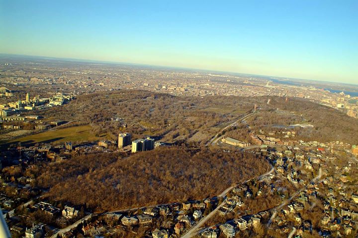 Randonnée guidée - Les trois sommets du mont Royal (les dimanches 18 sept, 16 et 23 oct)