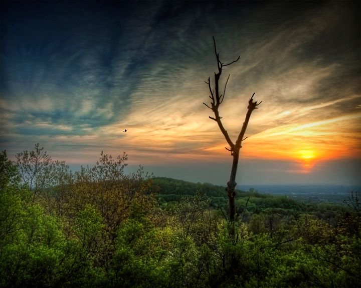 Randonnée photographique « La lumière du sommet Outremont »