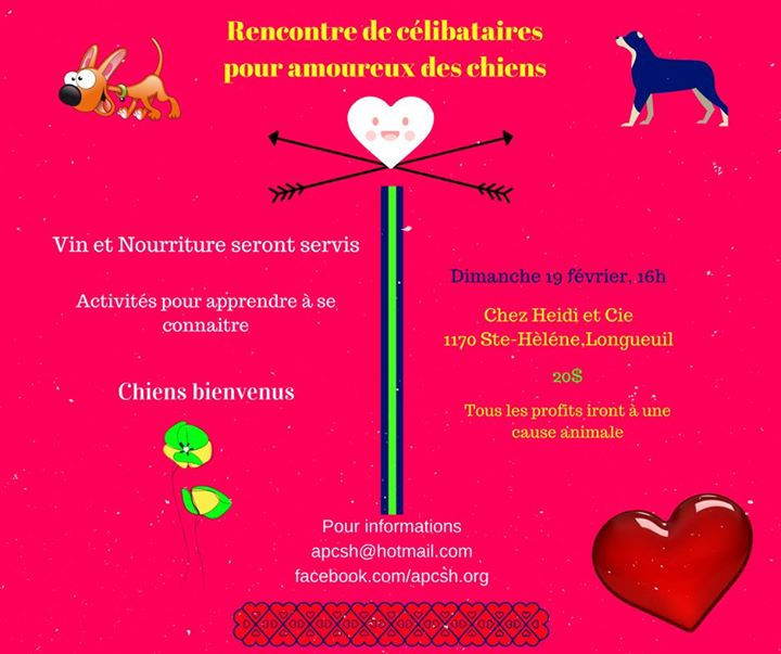 Rencontre de célibataires pour amoureux des chiens