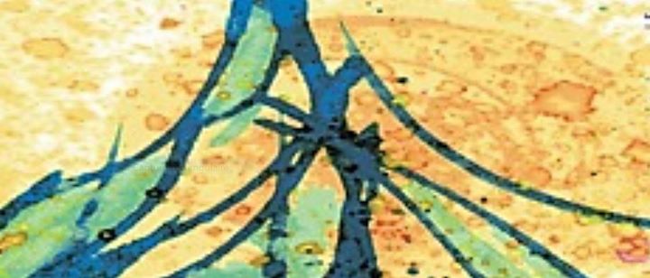 Rêv’Art de l’Arc-en-ciel