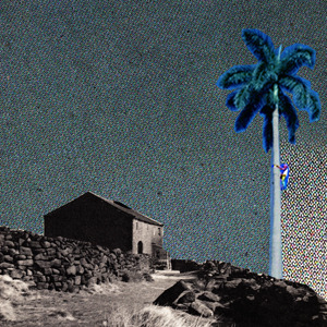 Reversing Falls et Holy Data